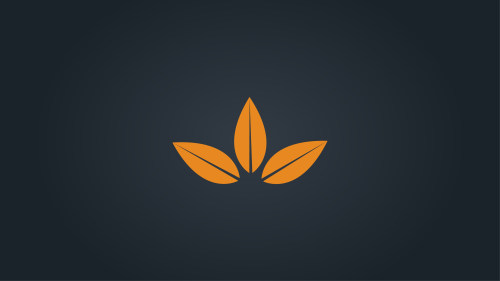 小程序開(kāi)發(fā)方案