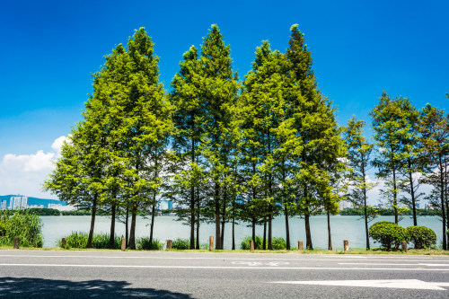 微信小程序開發(fā)