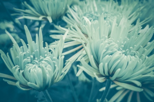 廣州微信小程序開發(fā)需要多少錢？