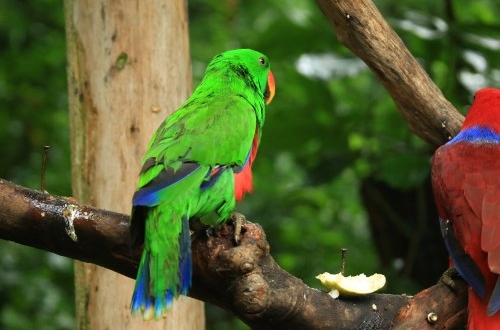 影響天津小程序開發(fā)的因素