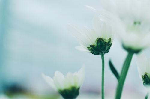 大連共享洗衣機(jī)適合開(kāi)發(fā)小程序嗎？