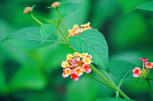 南京APP軟件定制開(kāi)發(fā)對(duì)企業(yè)的好處