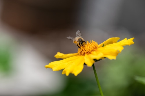 唐山商家如何利用小程序開發(fā)增加競爭力？