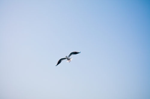 大連小程序開(kāi)發(fā)要了解的內(nèi)容