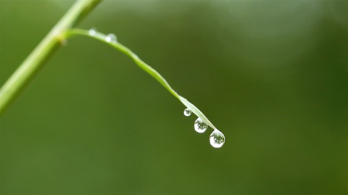 直播app開發(fā)