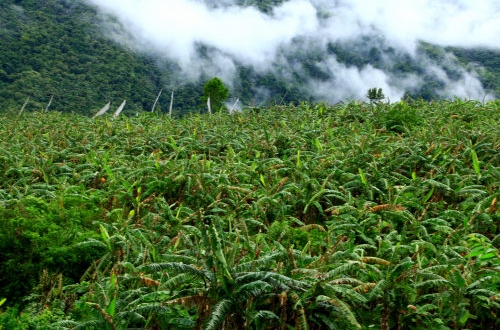 重慶政務OA辦公系統(tǒng)開發(fā)功能優(yōu)勢有哪些？