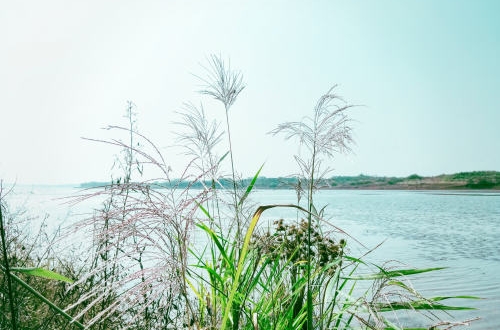大連智慧公園小程序開(kāi)發(fā)助力游覽體驗(yàn)升級(jí)
