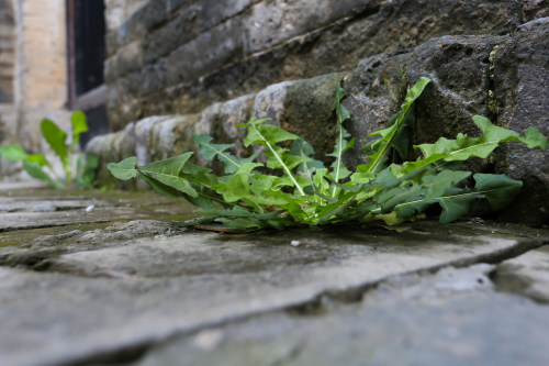 小程序開發(fā)