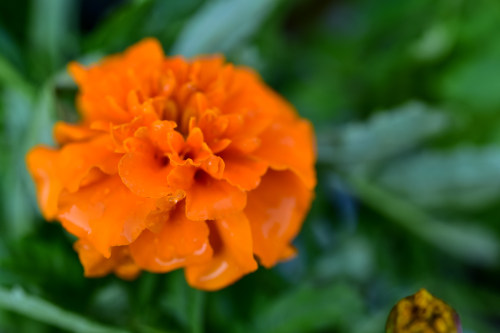 西安小程序開發(fā)