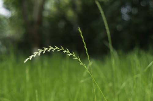 制造業(yè)企業(yè)ERP管理系統(tǒng)應用方案