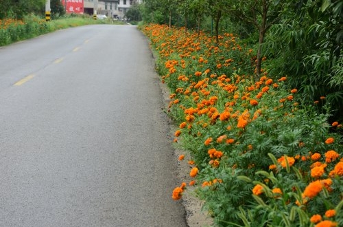 天津小程序開發(fā)費用報價要多少