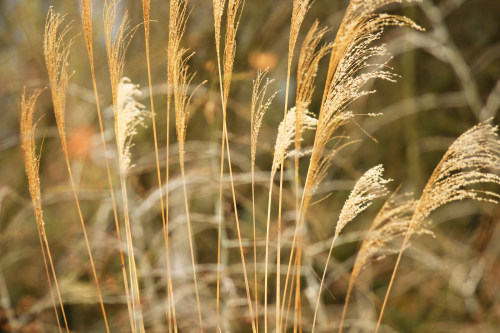 app定制開發(fā)