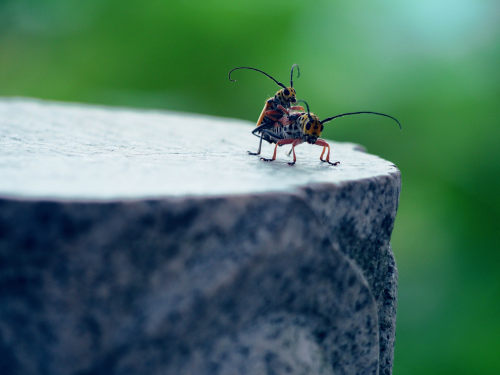 crm管理系統(tǒng)