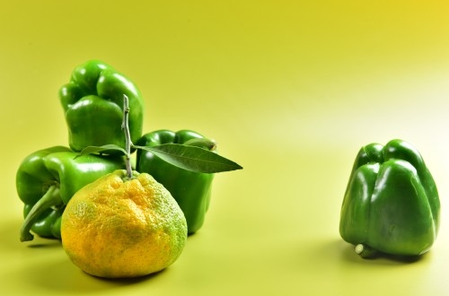 南京充電樁小程序開(kāi)發(fā)的功能有哪些？