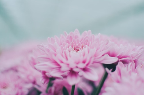 南京代駕小程序開(kāi)發(fā)要具備什么功能