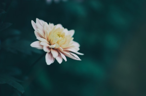 南京電力繳費(fèi)小程序開(kāi)發(fā)應(yīng)具備哪些功能？