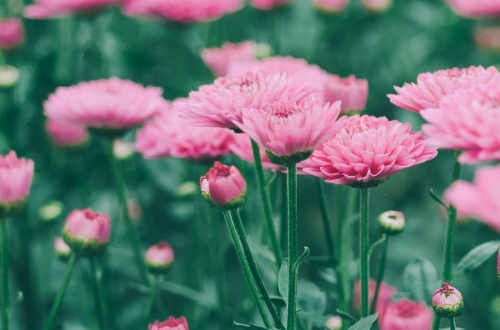 南京酒店小程序開(kāi)發(fā)解決方案