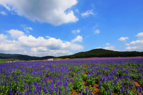 CRM管理系統(tǒng)