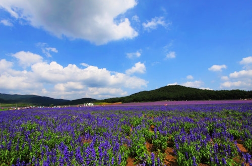 企業(yè)如何選擇合適的CRM管理系統(tǒng)？