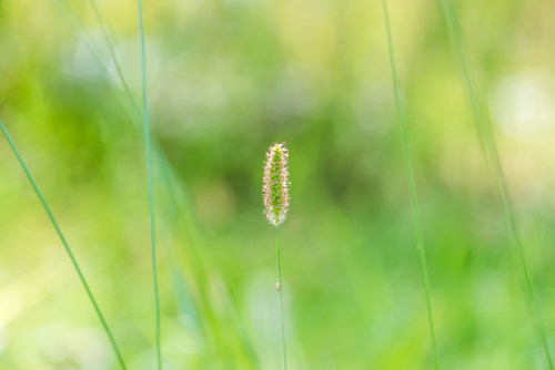 蘭州小程序開發(fā)