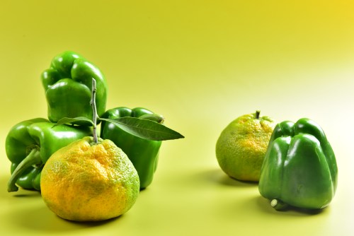 蘭州小程序開發(fā)