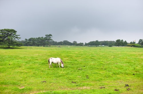 建筑行業(yè)erp系統(tǒng)可以帶來什么用處