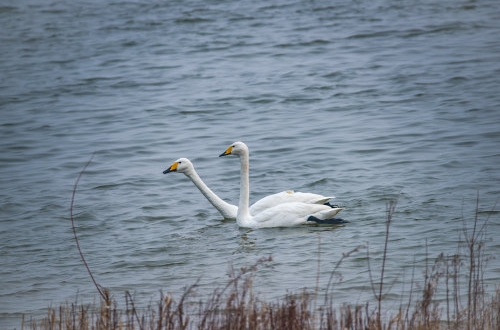 erp系統(tǒng)可以解決哪些問題