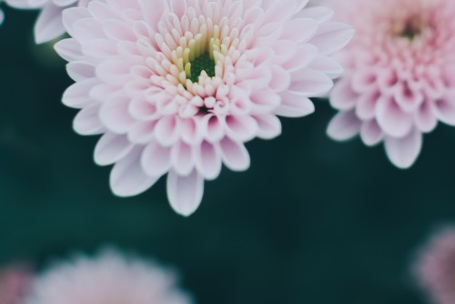 廈門(mén)小程序開(kāi)發(fā)