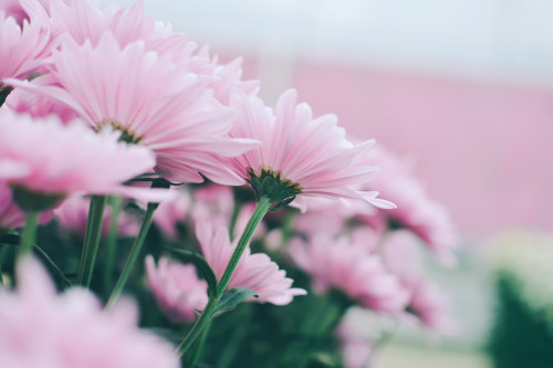 商城小程序開發(fā)