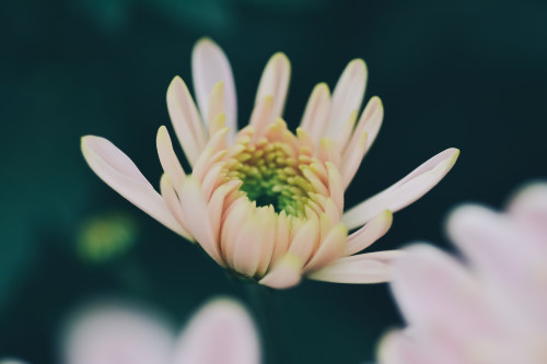 OA辦公系統(tǒng)