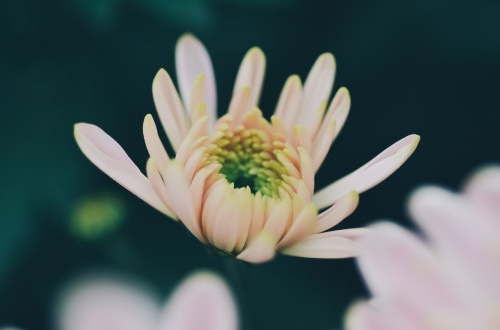 OA辦公系統(tǒng)對企業(yè)發(fā)展的意義