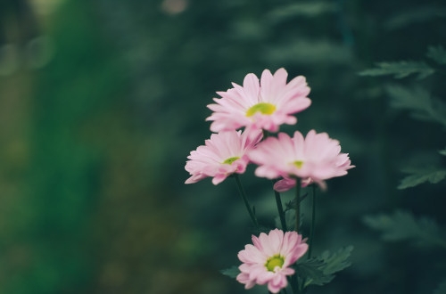 OA辦公系統(tǒng)開發(fā)需要多少錢?