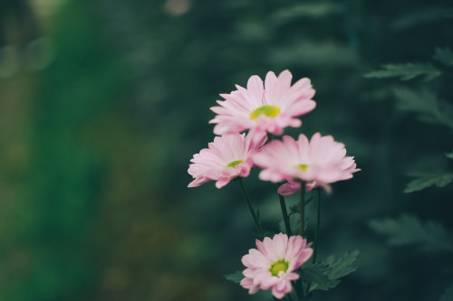 南昌小程序開(kāi)發(fā)