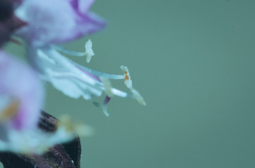 深圳小程序開發(fā)費用大概需要多少？