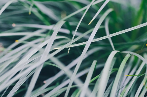 國內排名前十的erp系統(tǒng)都有哪些?