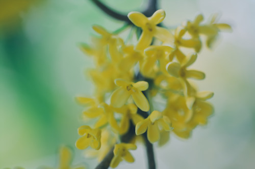 重慶小程序開發(fā)