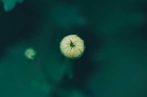 廣州酒店小程序開發(fā)的功能分享？