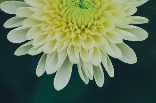 杭州團(tuán)購小程序開發(fā)能幫助我們實(shí)現(xiàn)什么？