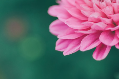 寧波小程序開發(fā)