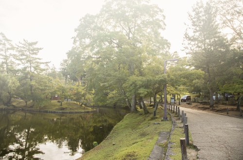 大連小程序開(kāi)發(fā)如何幫助商家裂變更多用戶(hù)？