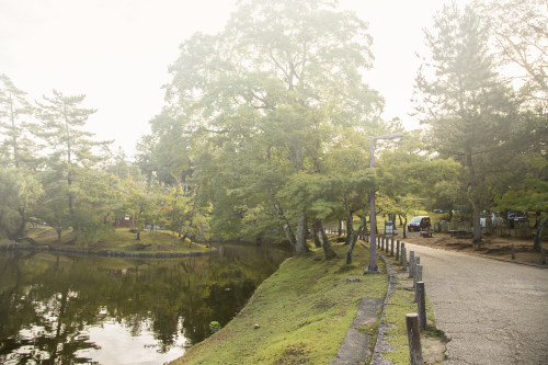 大連小程序開發(fā)