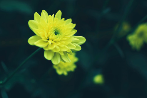 臺灣小程序開發(fā)