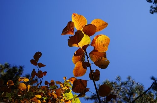 ERP管理系統(tǒng)有哪些部署方案？