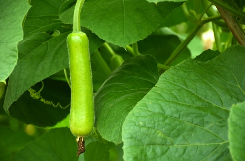 國(guó)內(nèi)crm管理系統(tǒng)排名