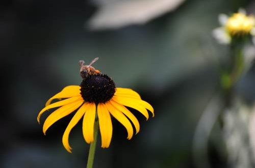 工廠倉(cāng)庫(kù)erp管理系統(tǒng),倉(cāng)儲(chǔ)進(jìn)銷存管理軟件