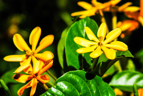 erp管理系統(tǒng)