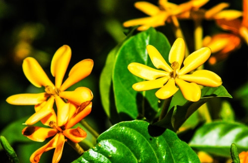 erp系統(tǒng)是什么意思,什么是erp管理系統(tǒng)