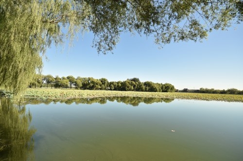 生產(chǎn)ERP管理系統(tǒng)是什么