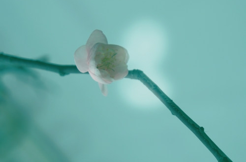 企業(yè)實(shí)施ERP管理系統(tǒng)有什么好處？