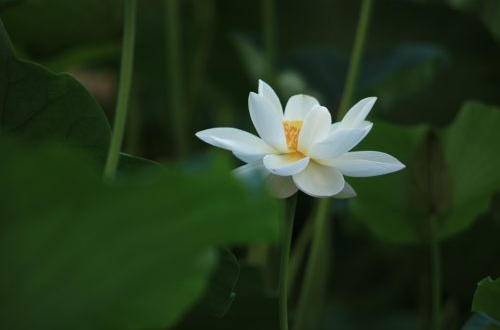 煙草業(yè)ERP管理系統(tǒng)實(shí)施所帶來(lái)的效益